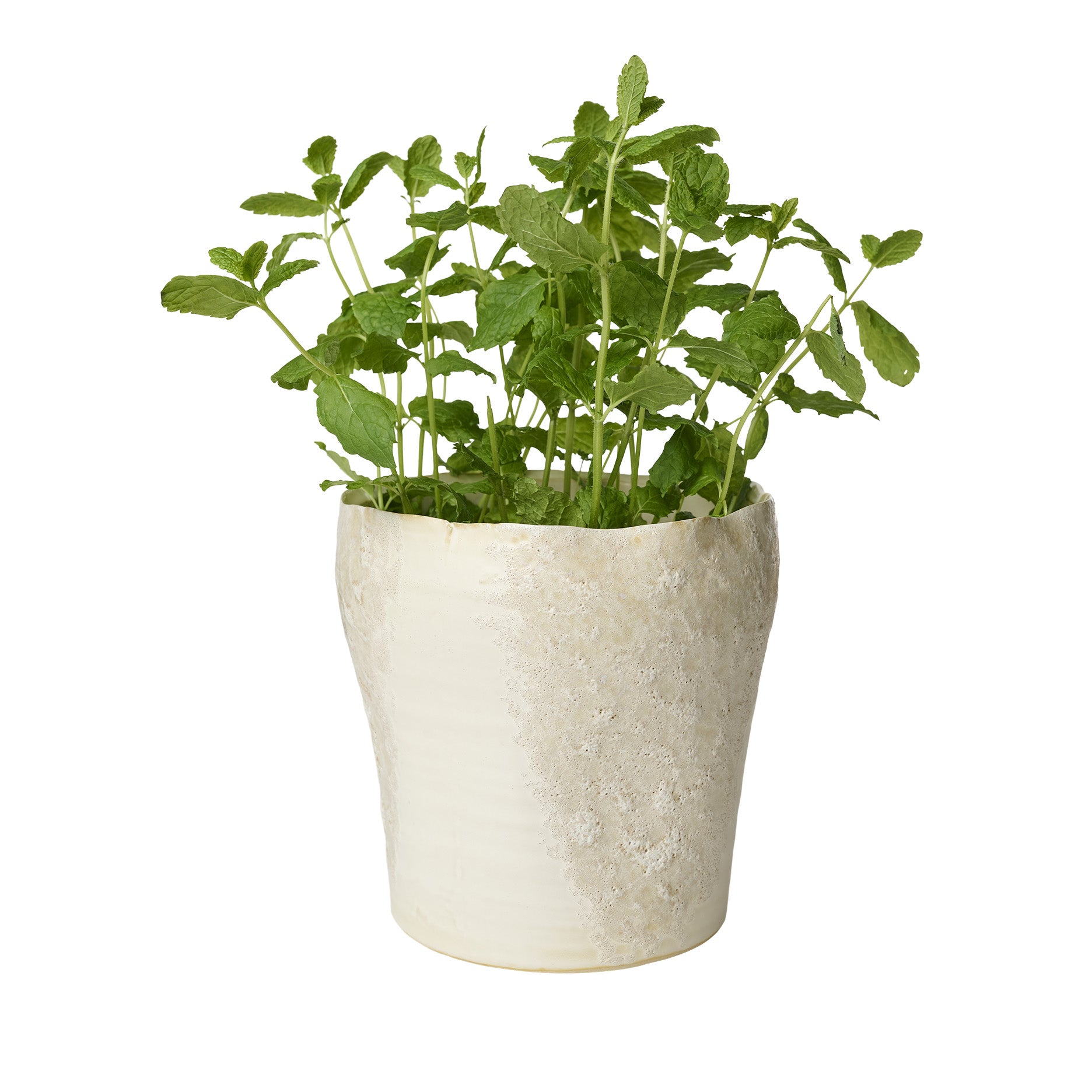 Sculpted urtepotte Ø19 cm